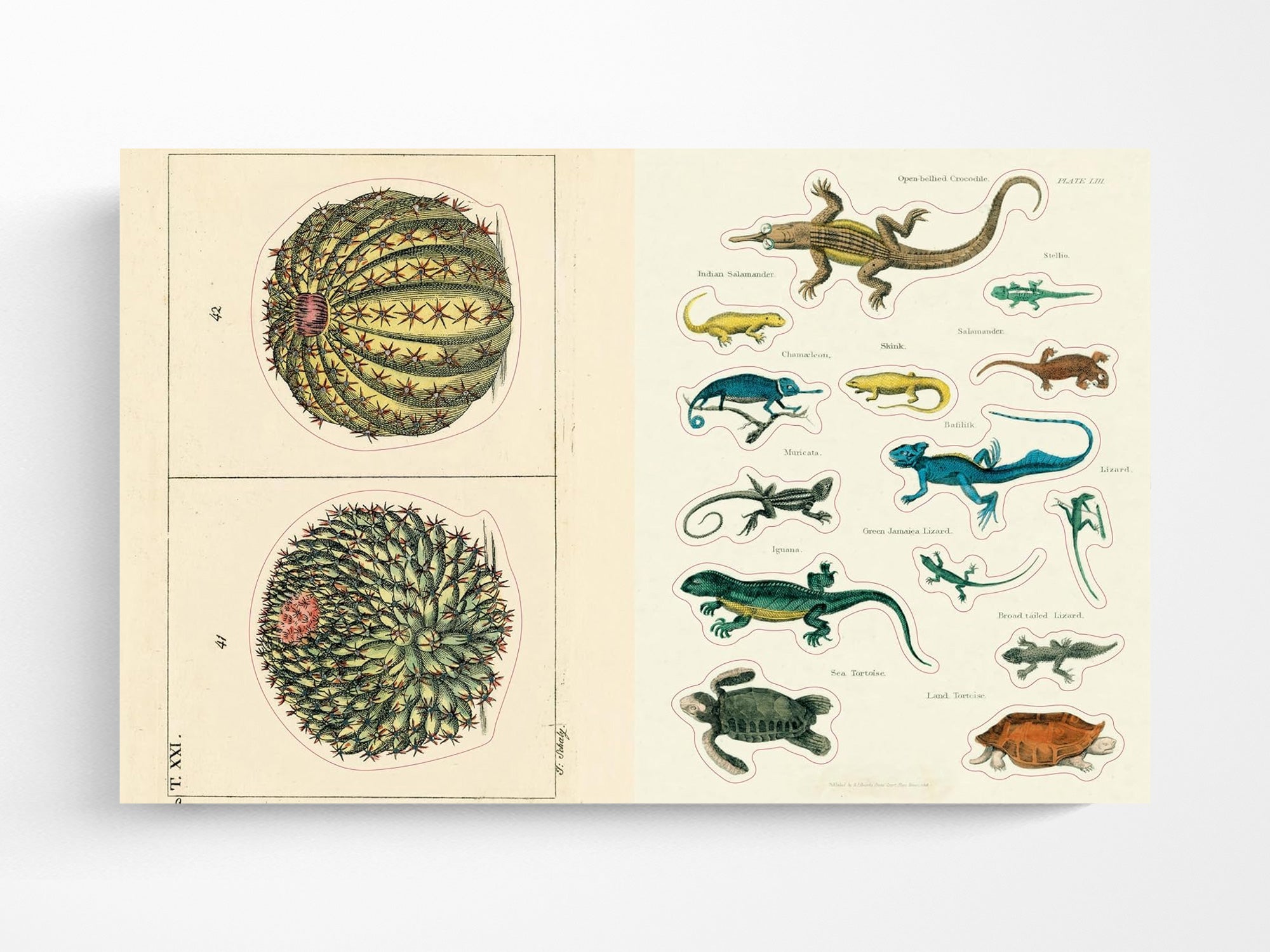 John Derian Sticker Book II – Jenni Bick Custom Journals