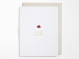 Little Card Big Thanks Greeting Cards Box of 6