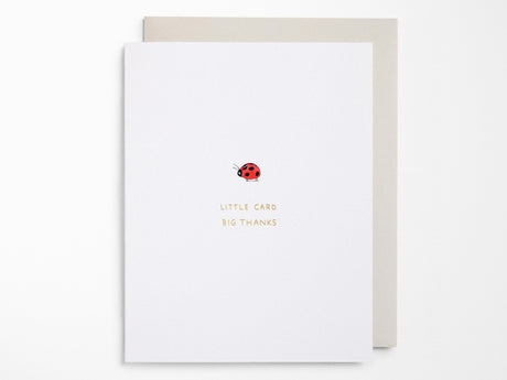 Little Card Big Thanks Greeting Cards Box of 6