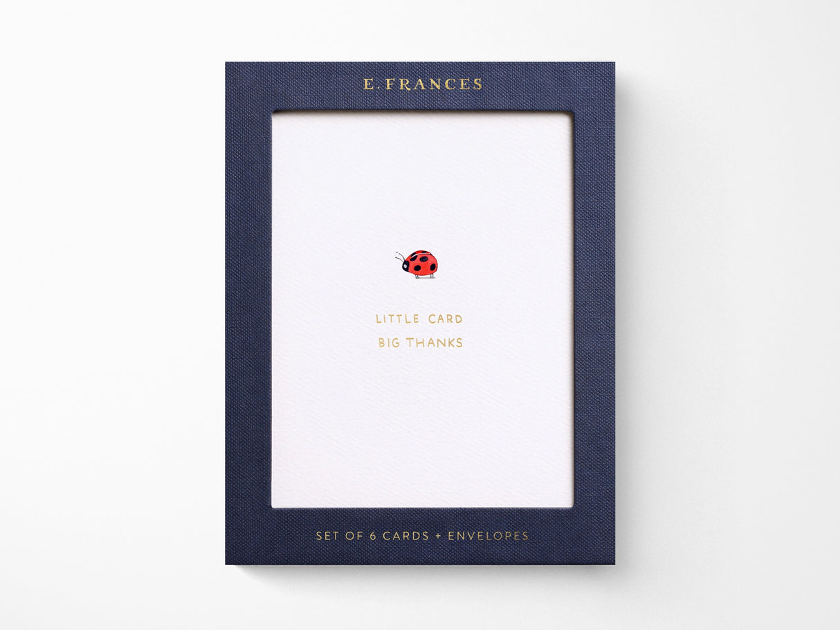 Little Card Big Thanks Greeting Cards Box of 6