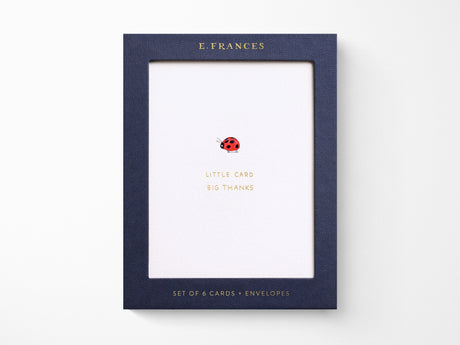 Little Card Big Thanks Greeting Cards Box of 6
