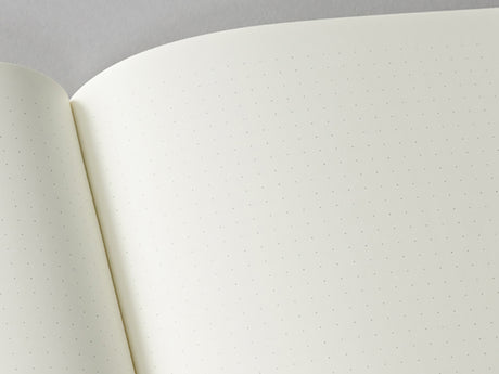Metallic Edition Classic A5 Notebook
