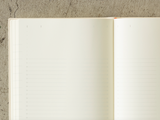 Midori MD Notebook Diary 2026 - 1 Day 1 Page