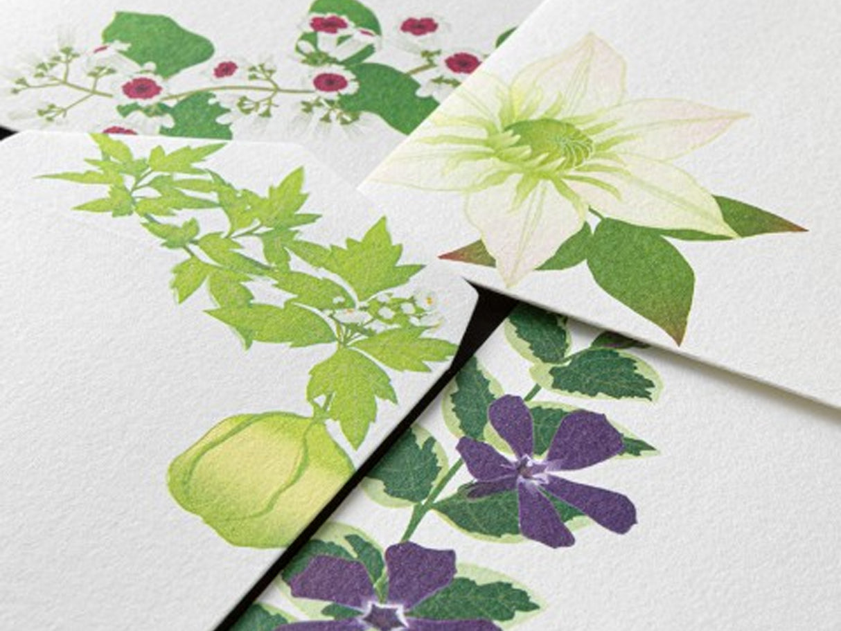 Midori Seasonal Envelopes - 170 Summer Flowers 4 Designs