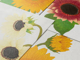 Midori Seasonal Letter Pad - 025 Four Designs Sunflower