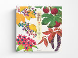 Midori Seasonal Letter Pad - 033 Four Designs Autumn Fruits