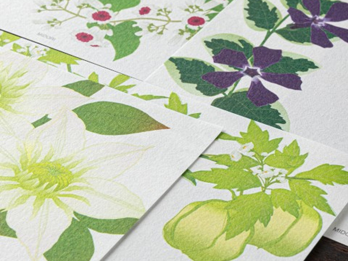 Midori Seasonal Letter Pad - 169 Summer Flowers 4 Designs