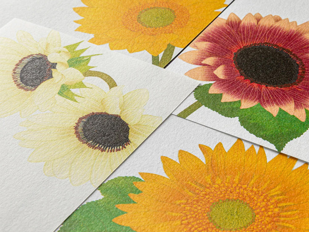Midori Seasonal Memo Letter Pad - 605 Four Designs Sunflower