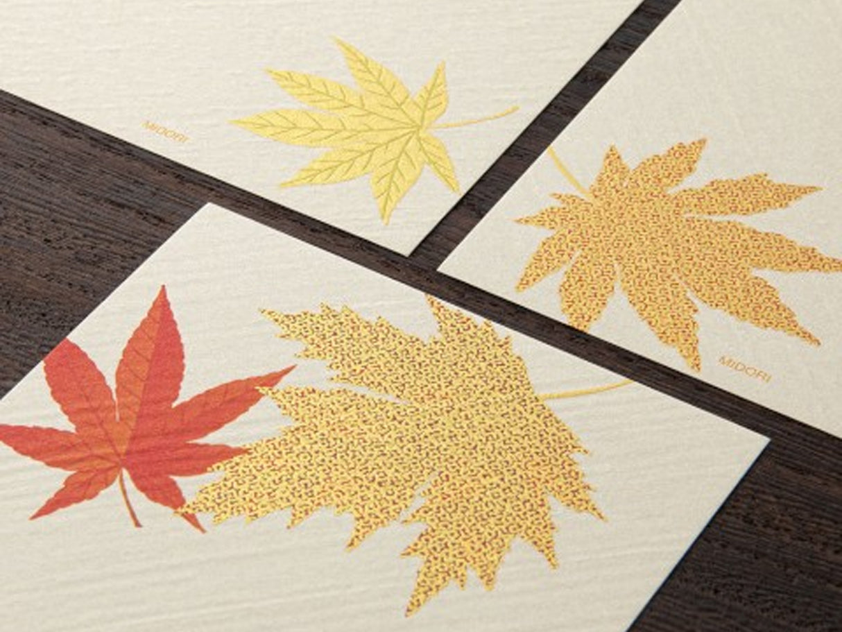 Midori Seasonal Message Letter Pad - 593 Silk Printing Fallen Leaves