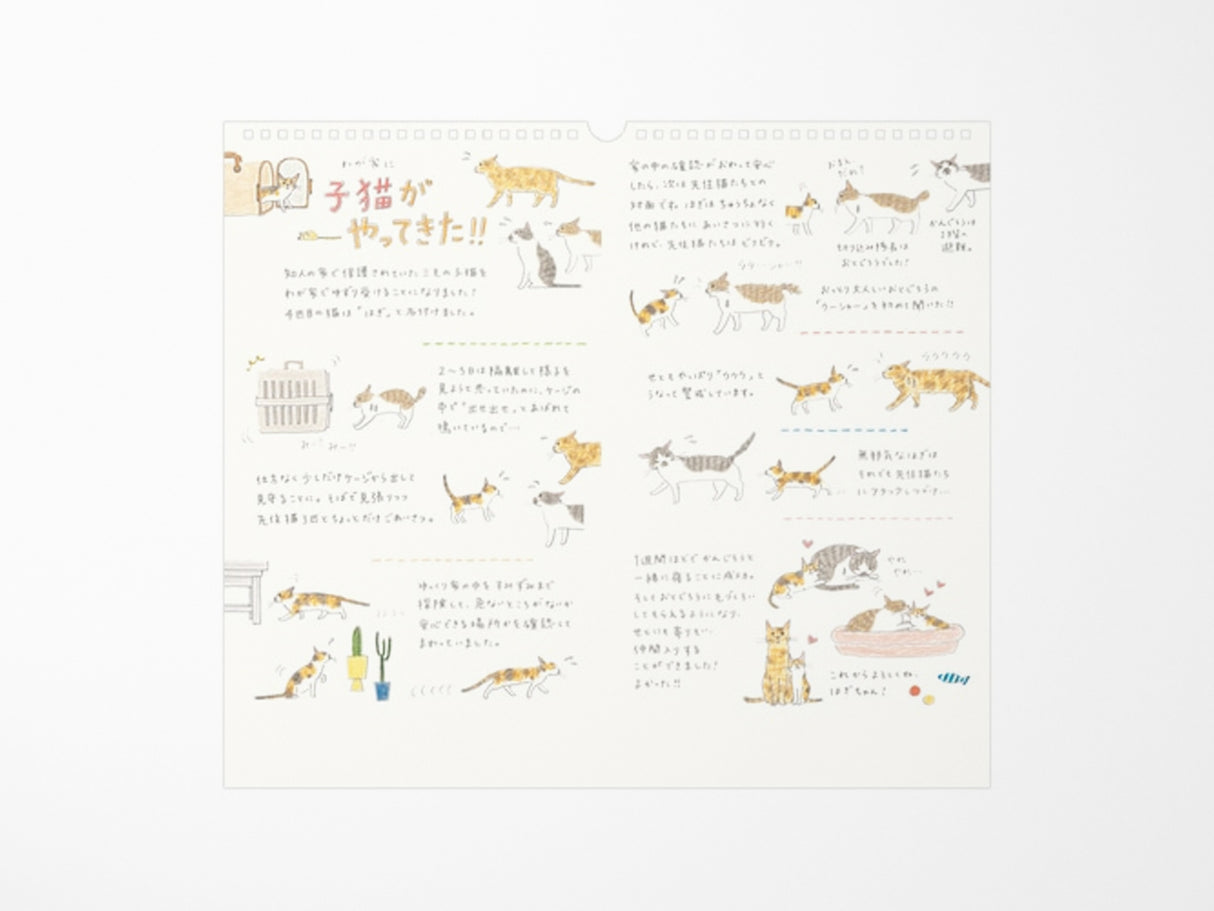 Midori Wall Calendar 2026 - Cat