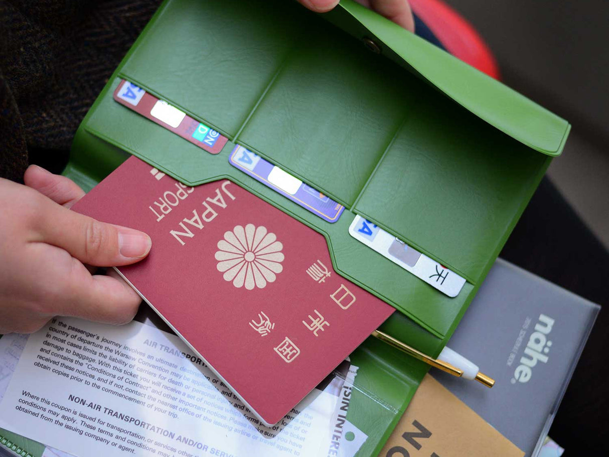 Nahe Travel Organizer Flat Case