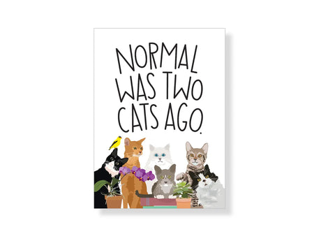 Normal Was Two Cats Ago Magnet