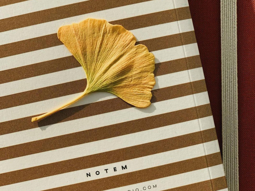 Notem VITA Journal - Small Ochre