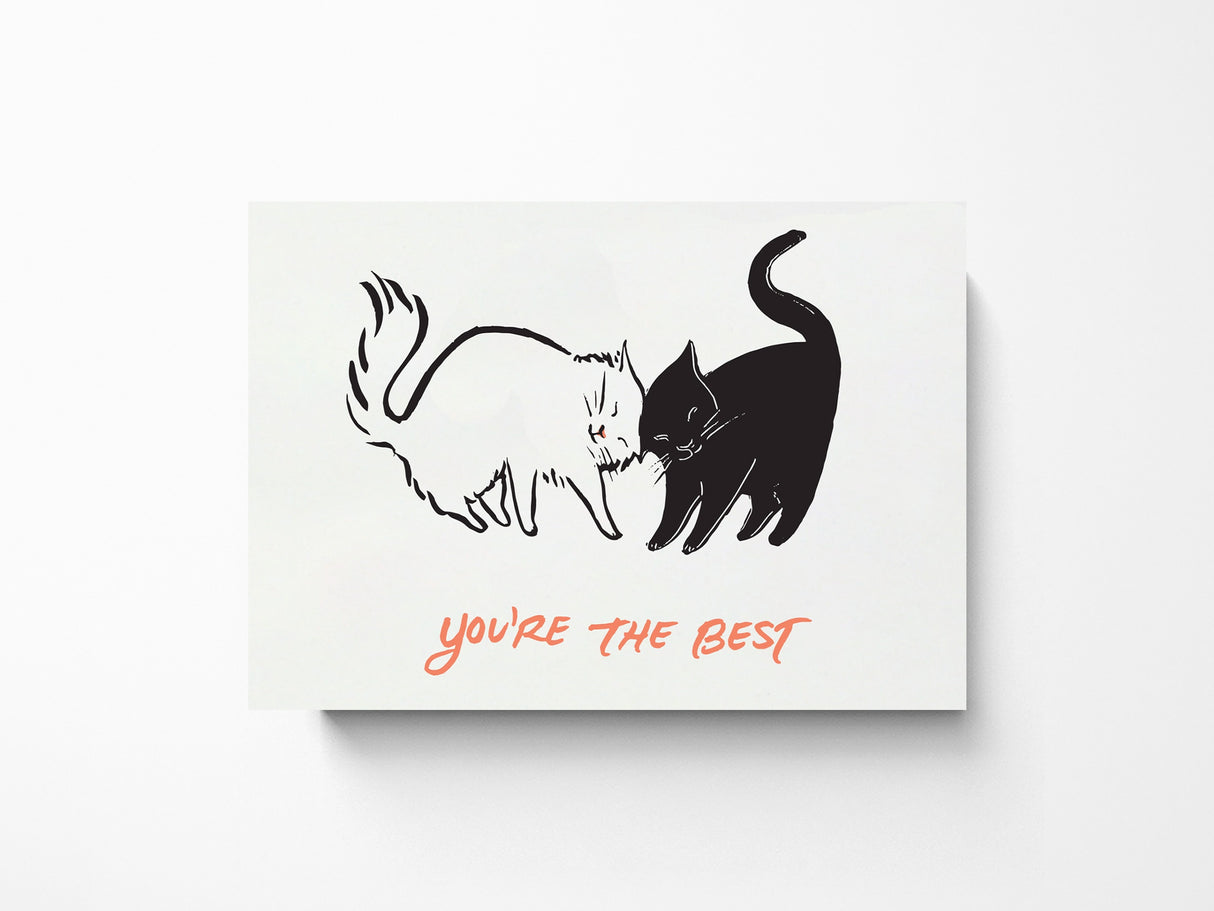 Nuzzling Cats Friendship Greeting Cards, Box of 10