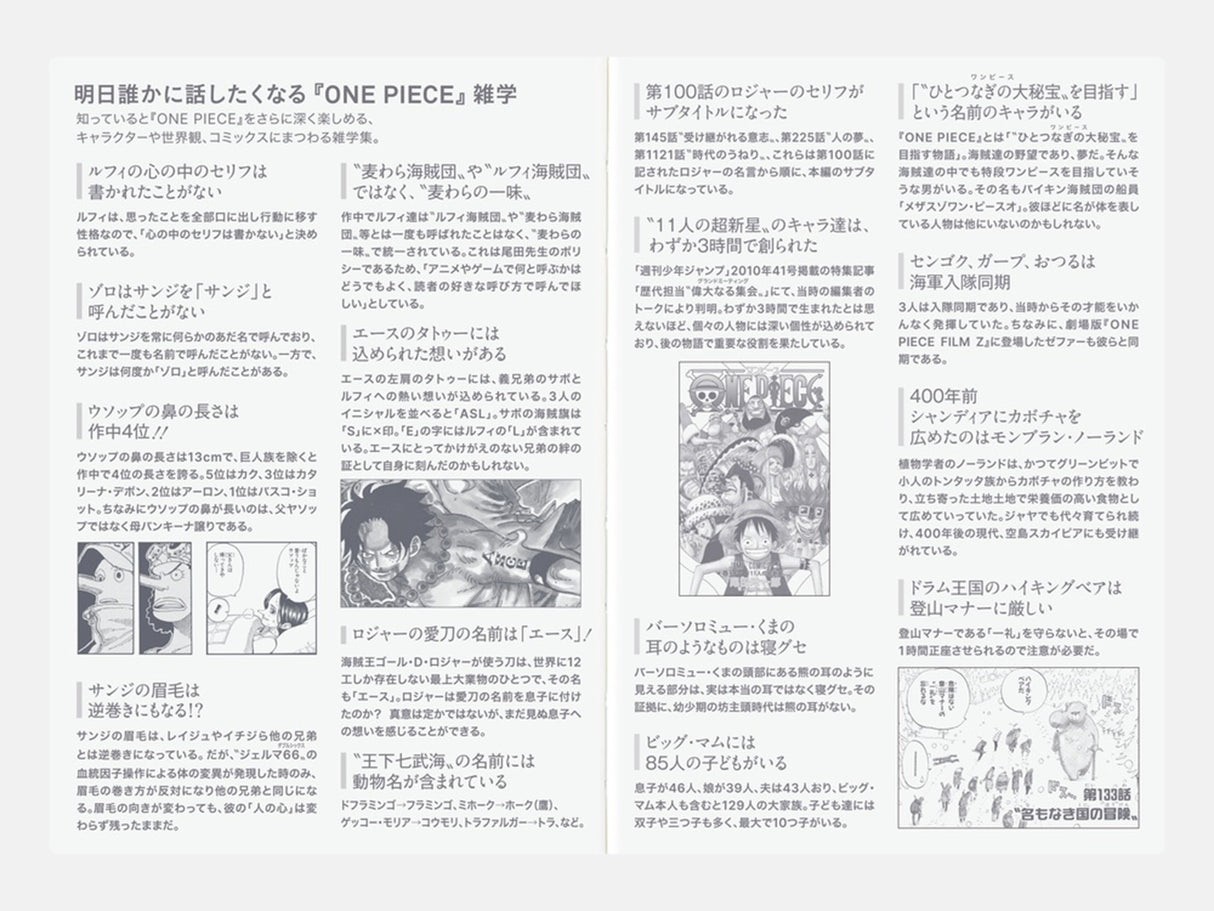 OCT Hobonichi Techo 2027 Original Book A6 - ONE PIECE EDITION