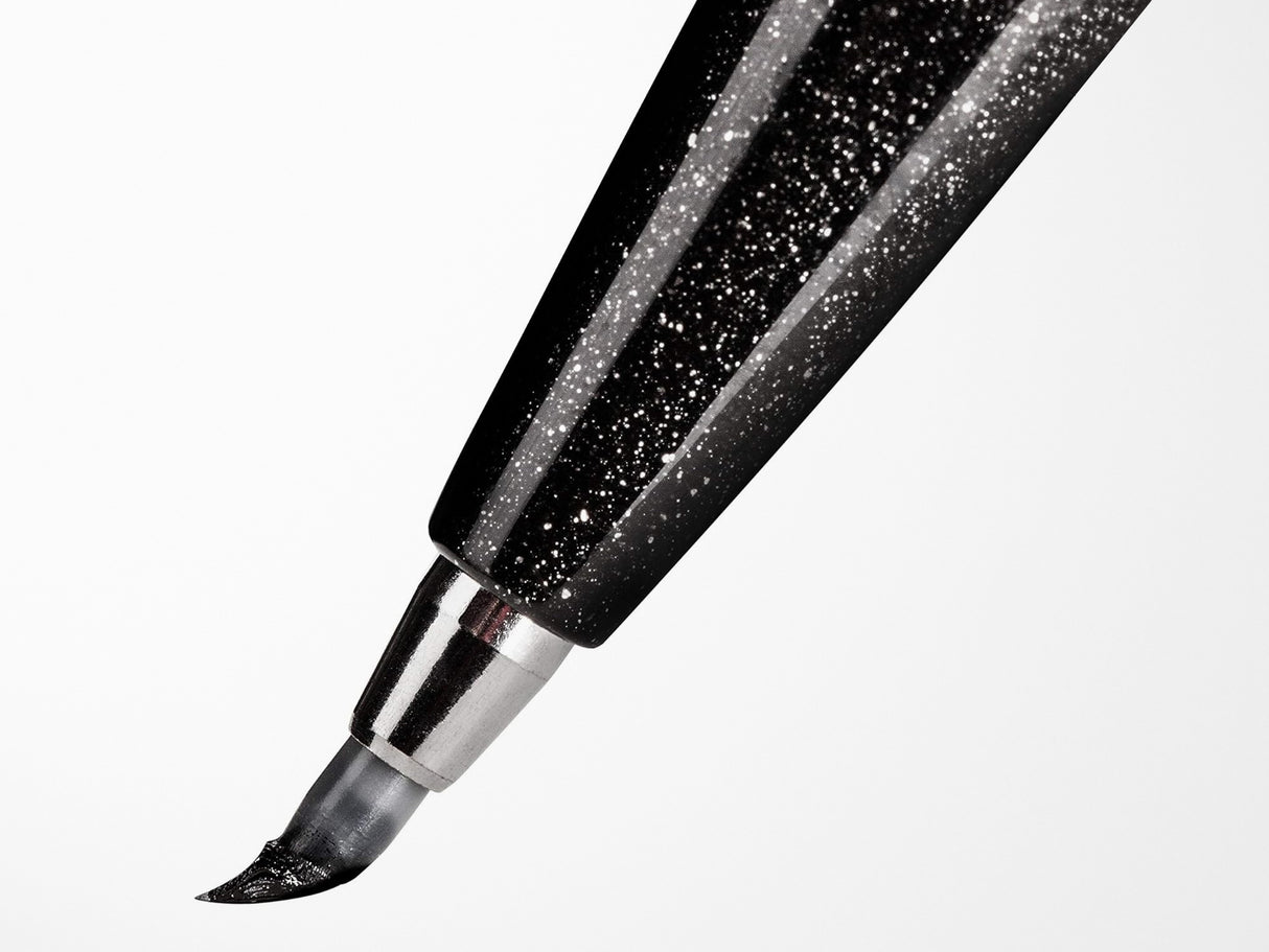 Pentel Sign Pen Brush - Set of 6 Fashion Colors