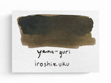 Pilot Iroshizuku Fountain Pen Ink - Yama-Guri
