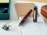 Pilot Prera Fountain Pen - Brown