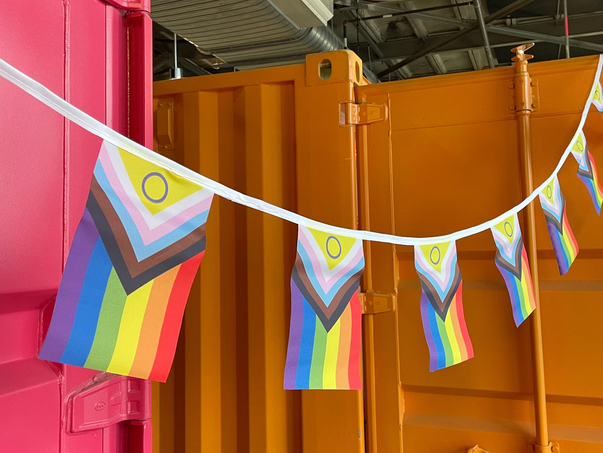 Pride Flag Bunting Party Pack