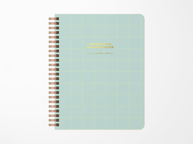 Professional Procrastinator Spiral Notebook