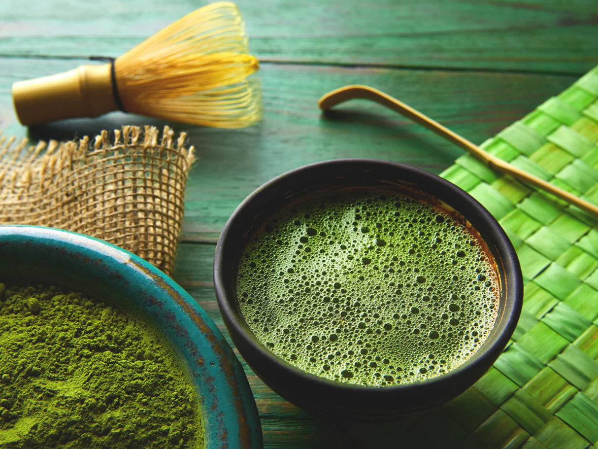 Sailor Pro Gear Fountain Pen - Japanese Tea Ceremony - Matcha