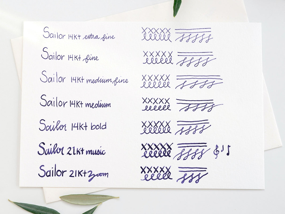 Sailor Pro Gear Fountain Pen - Smoothie 2 - Acai Berry