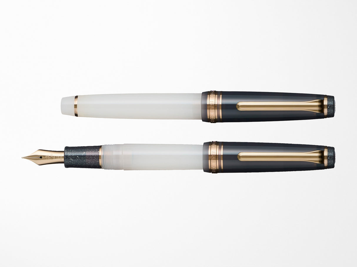 Sailor Pro Gear Slim Fountain Pen - Dried Flowers 2 - Black Rose