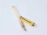 Sailor Pro Gear Slim Fountain Pen - Dried Flowers 2 - Marigold
