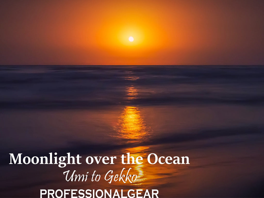 Sailor Pro Gear Slim Fountain Pen - Moonlight Over the Ocean