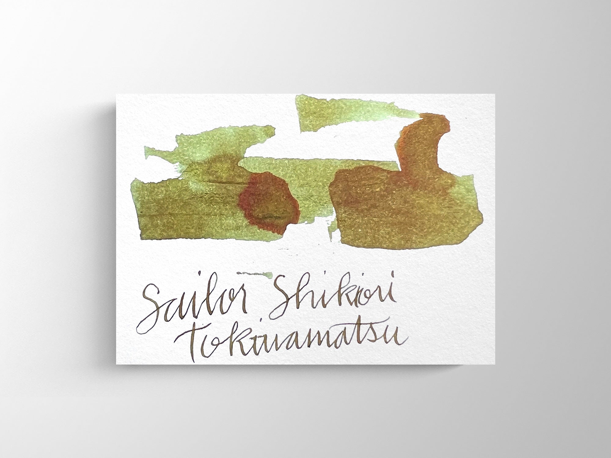 Sailor Shikiori Bottled Ink - Tokiwa-Matsu – Jenni Bick Custom