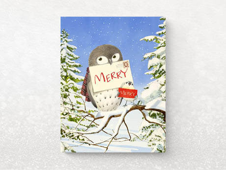 Twice The Merry Holiday Greeting Cards, Box of 8