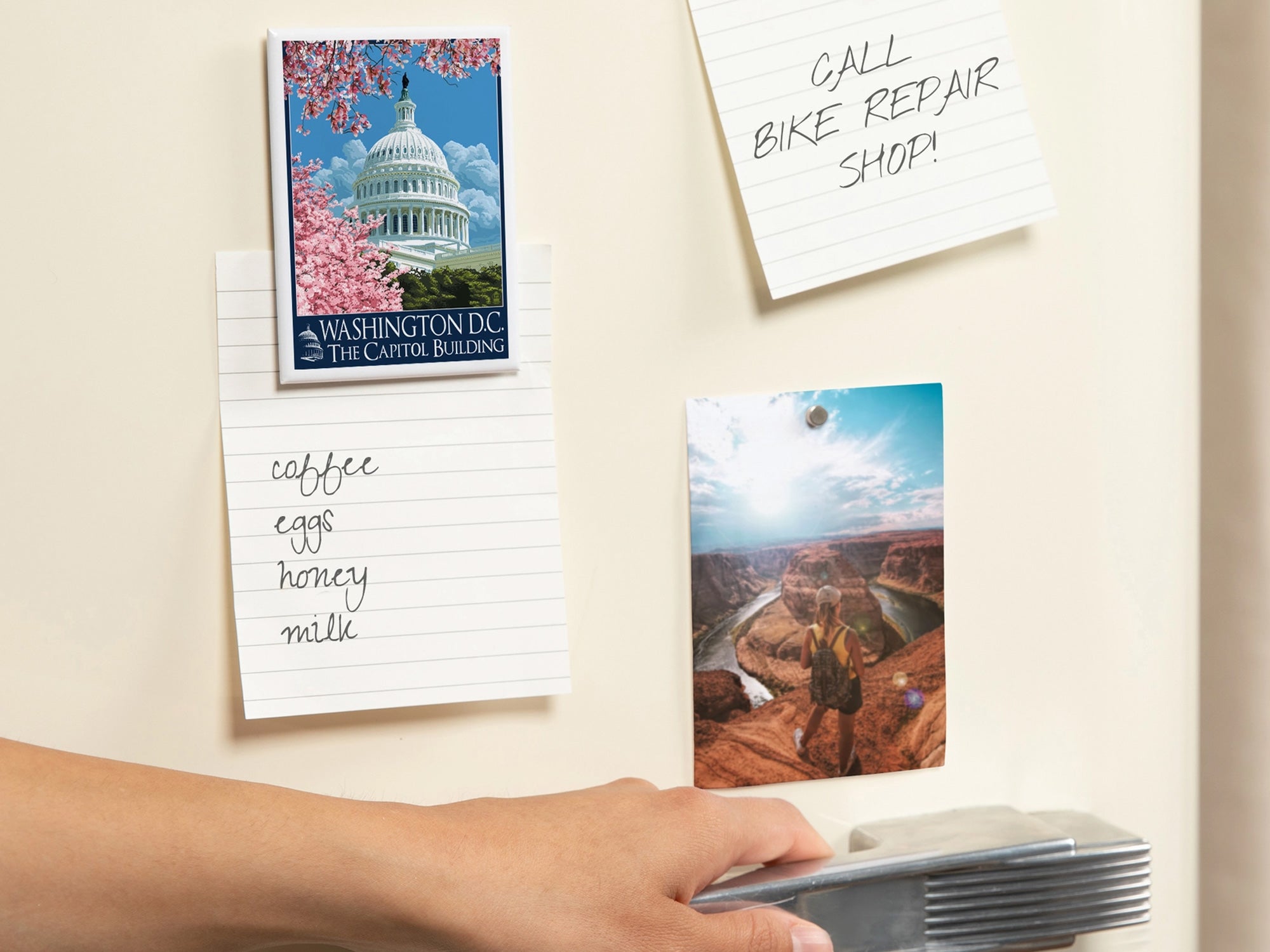 US Capitol and Cherry Blossoms Magnet - Thumbnail 2