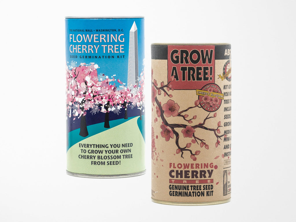 Washington DC Cherry Blossom Seed Kit