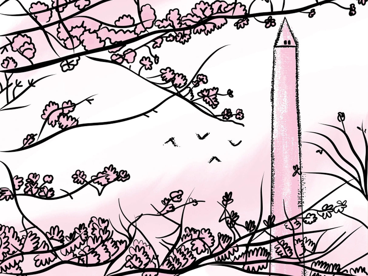 Washington DC Field Guide