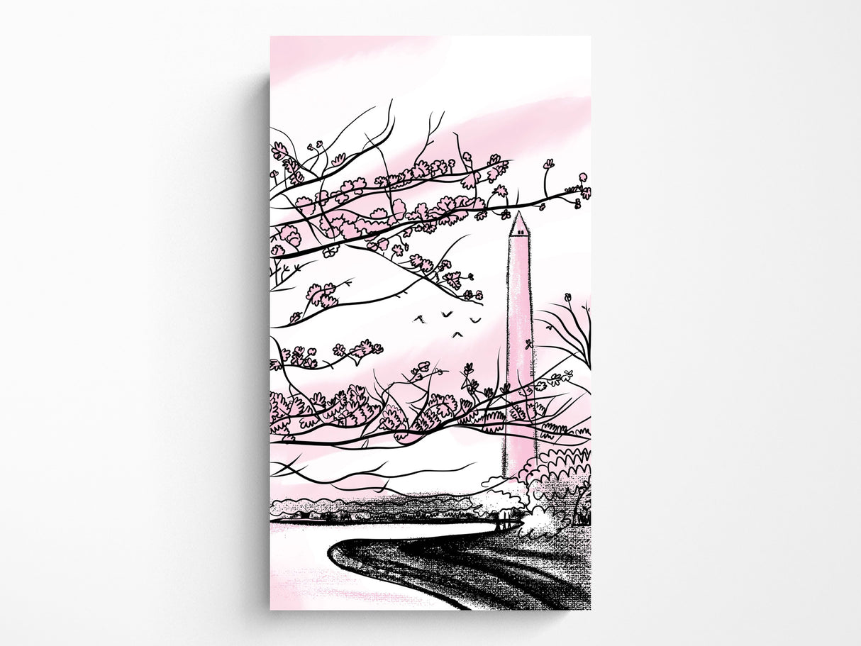 Washington DC Field Guide