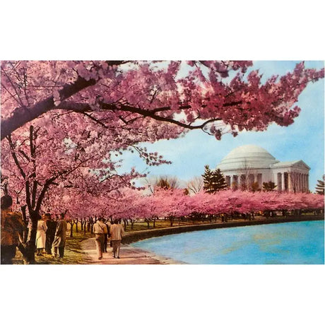 Washington DC Historical Photos Magnet