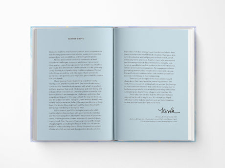 Write and Release Notebook