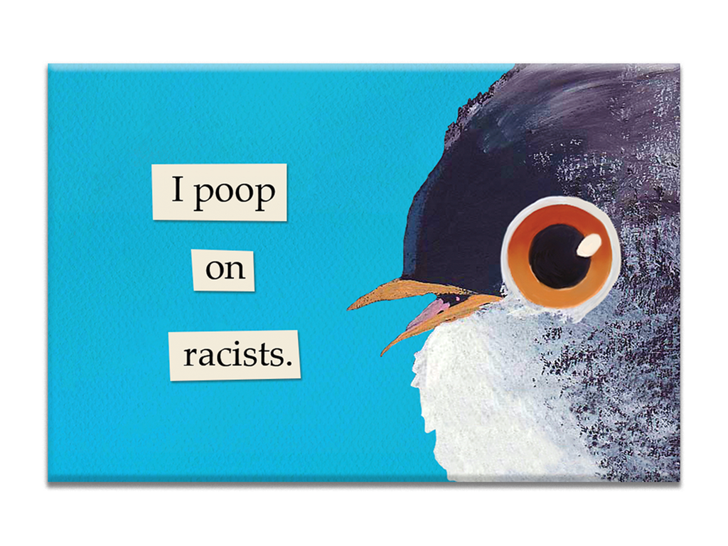 I Poop on Racists Magnet