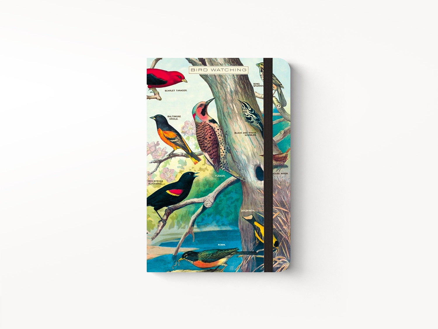 Cavallini Small Vintage Notebook - Bird Watching