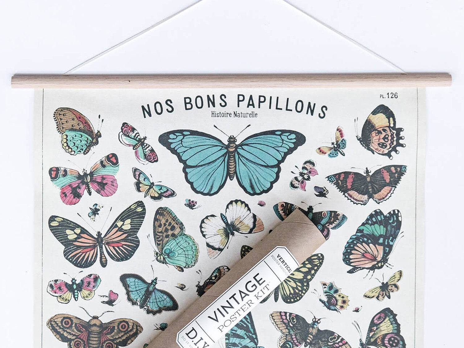 Cavallini Vintage Poster Kit