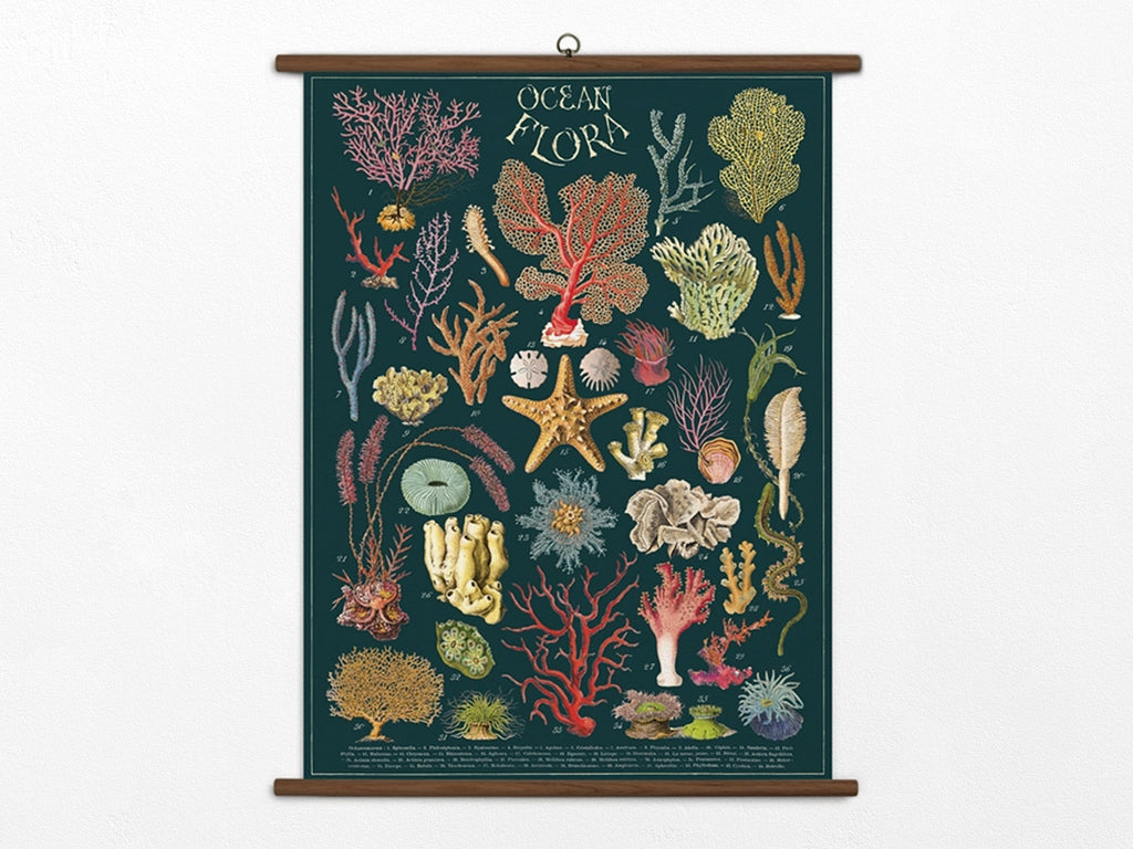 Cavallini Vintage School Chart - Ocean Flora