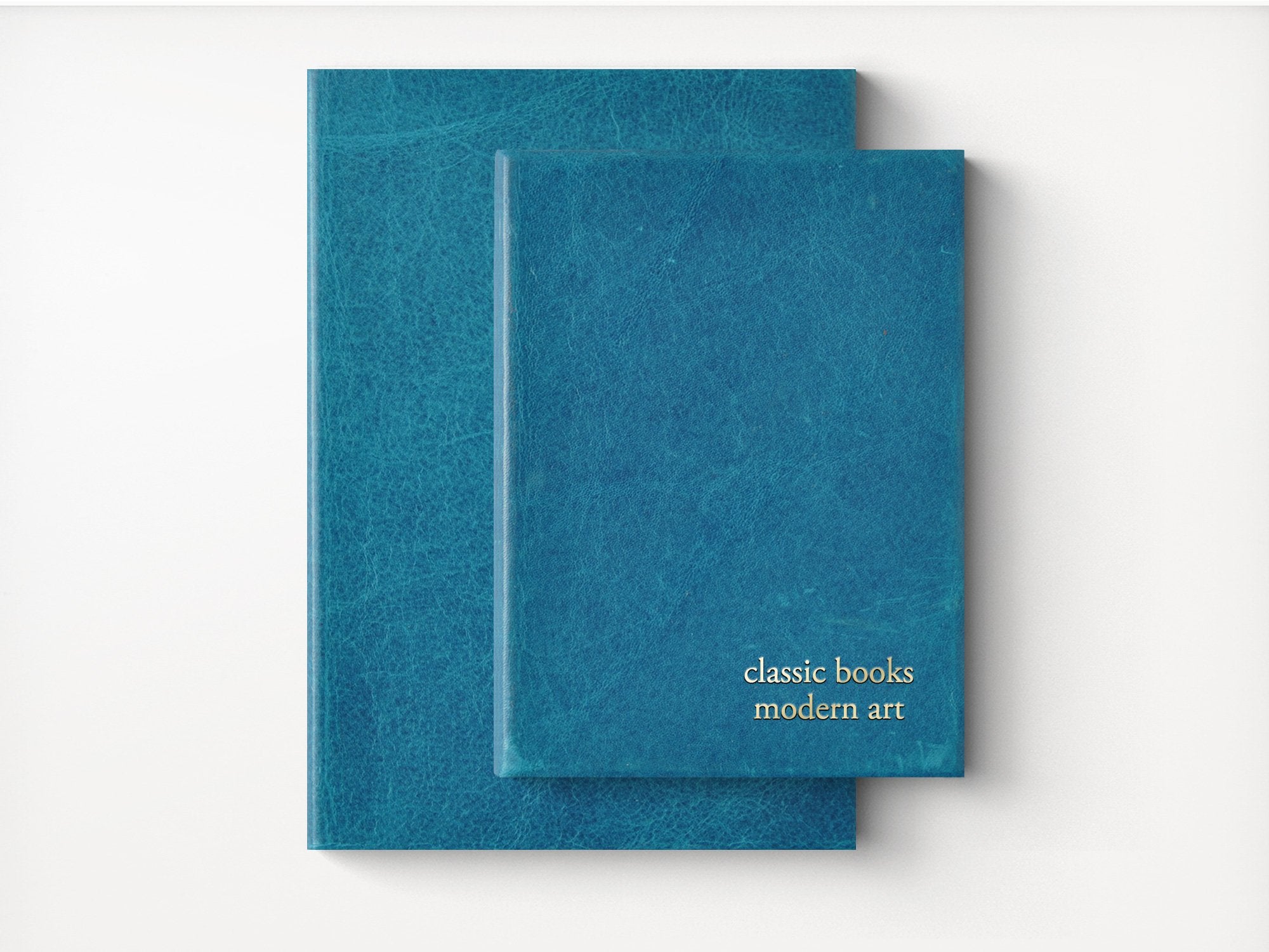 Mount Everest Extra Large Leather Sketchbook – Jenni Bick Custom Journals