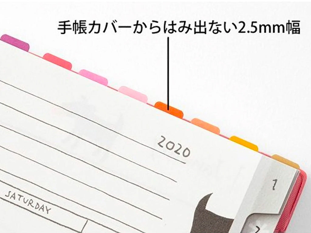 Midori Index Label Chiratto 24 Colors Vivid