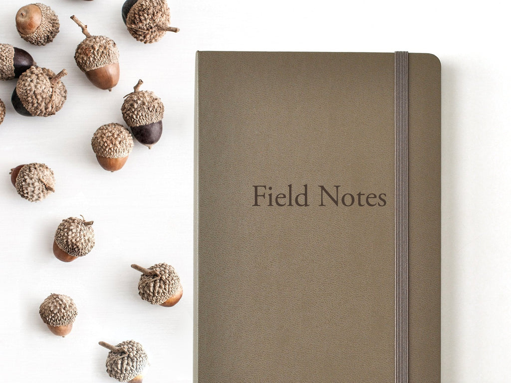 Moleskine Classic Hardcover Notebook - Earth Brown